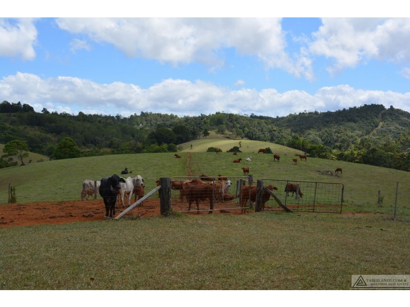Tarzali QLD 4885