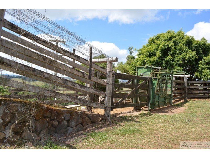 Tarzali QLD 4885
