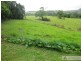 Tarzali QLD 4885