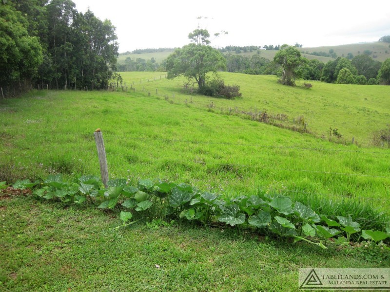 Tarzali QLD 4885