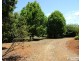 Ravenshoe QLD 4888