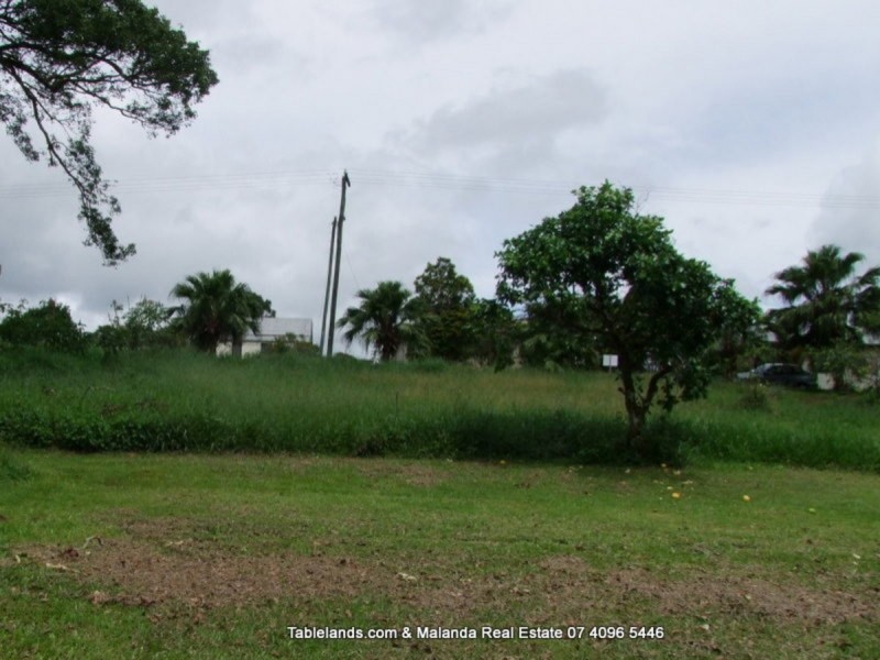 Millaa Millaa QLD 4886