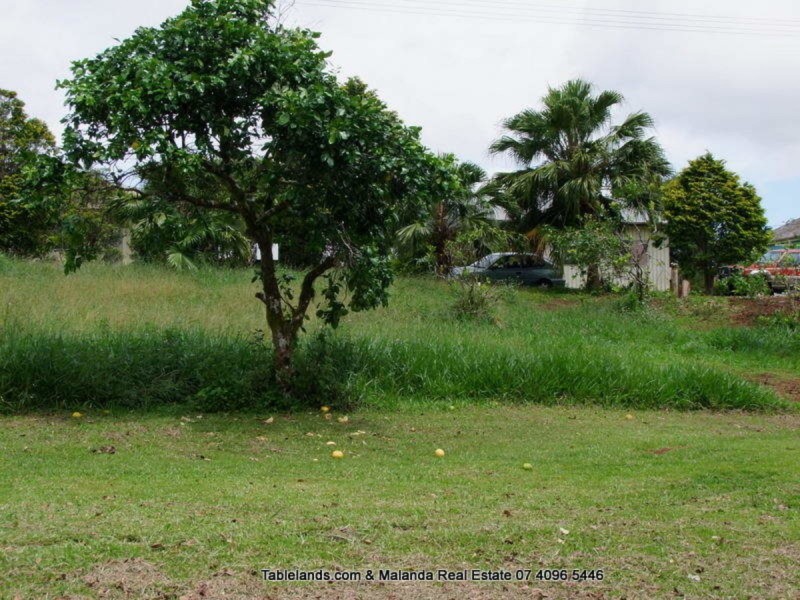 Millaa Millaa QLD 4886