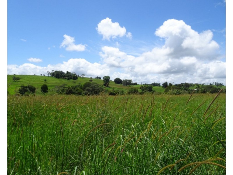 Jaggan QLD 4885