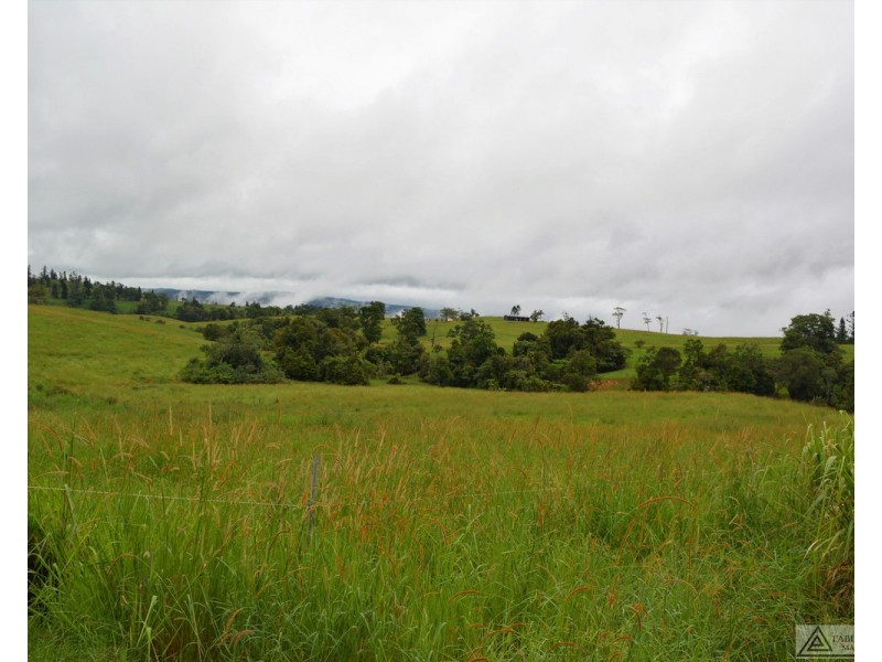 Millaa Millaa QLD 4886