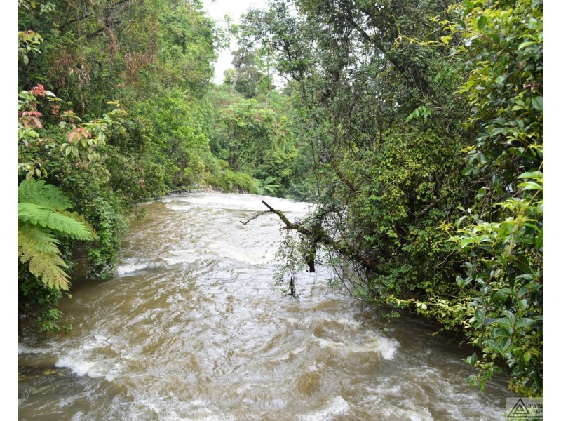 Millaa Millaa QLD 4886