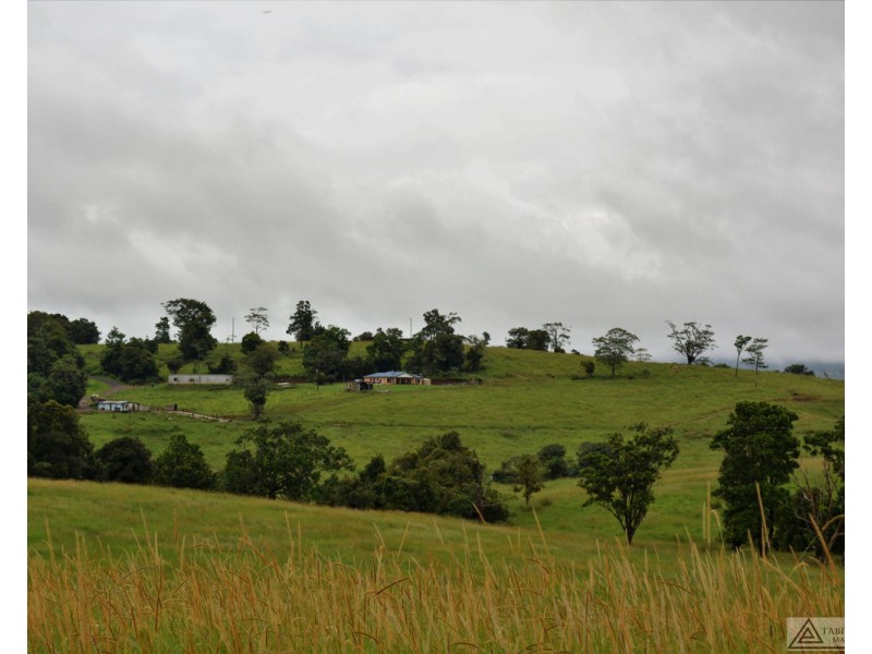 Millaa Millaa QLD 4886