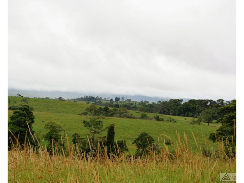 Millaa Millaa QLD 4886