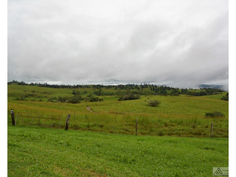 Millaa Millaa QLD 4886