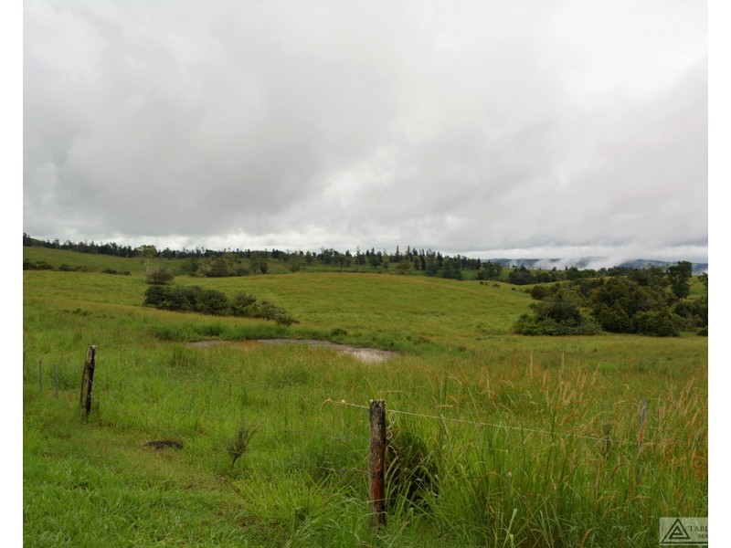 Millaa Millaa QLD 4886