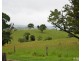 Millaa Millaa QLD 4886