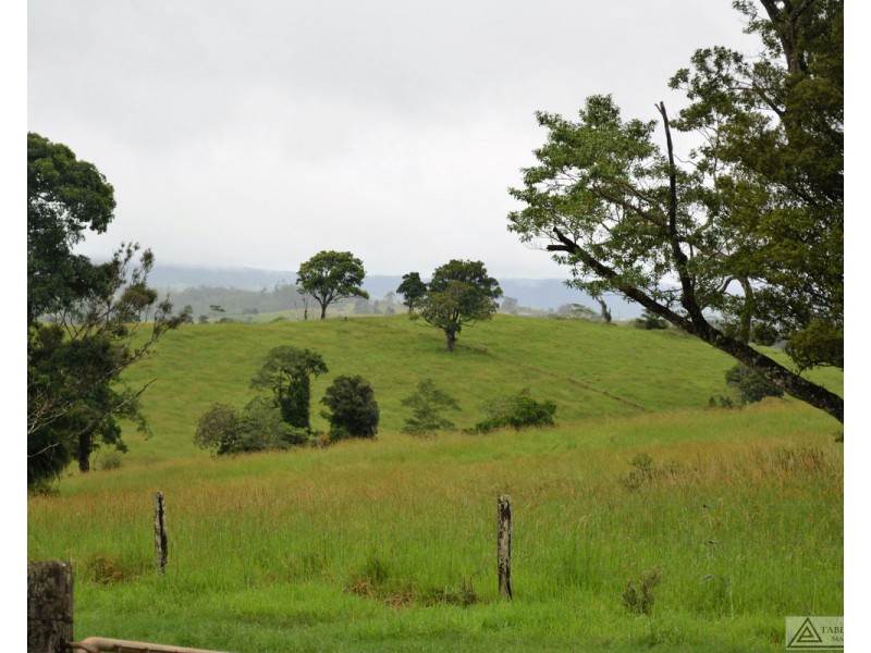 Millaa Millaa QLD 4886