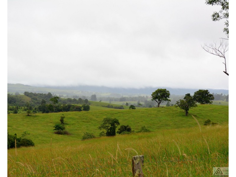 Millaa Millaa QLD 4886