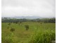 Millaa Millaa QLD 4886
