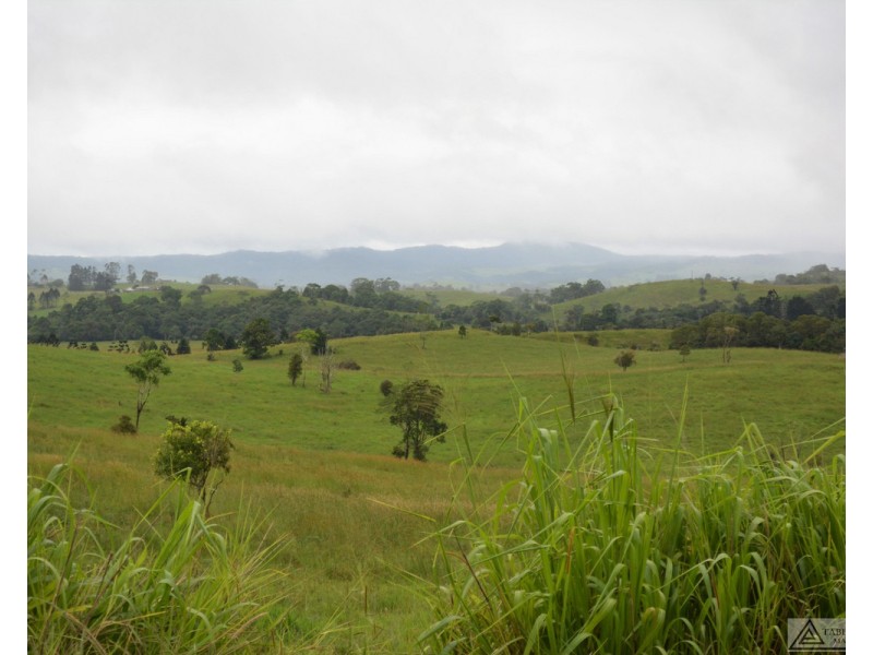 Millaa Millaa QLD 4886
