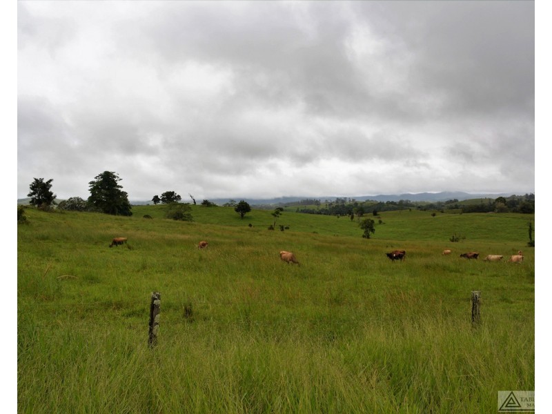 Millaa Millaa QLD 4886