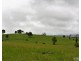 Millaa Millaa QLD 4886