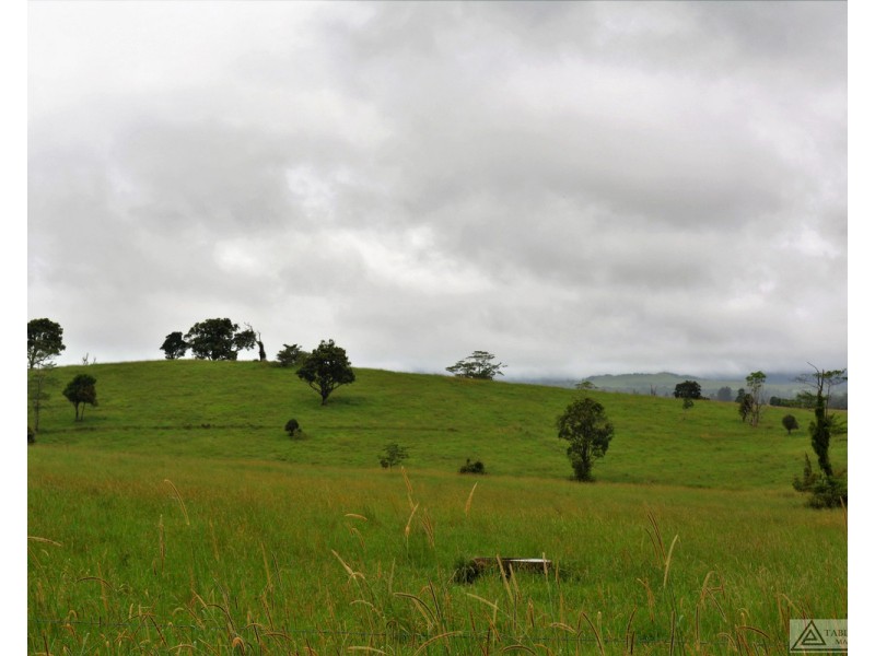 Millaa Millaa QLD 4886