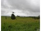 Millaa Millaa QLD 4886