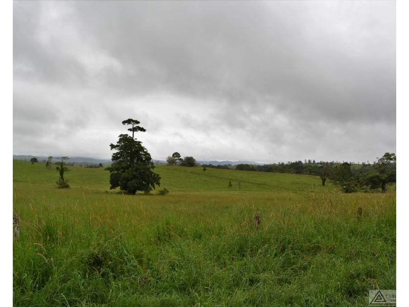 Millaa Millaa QLD 4886