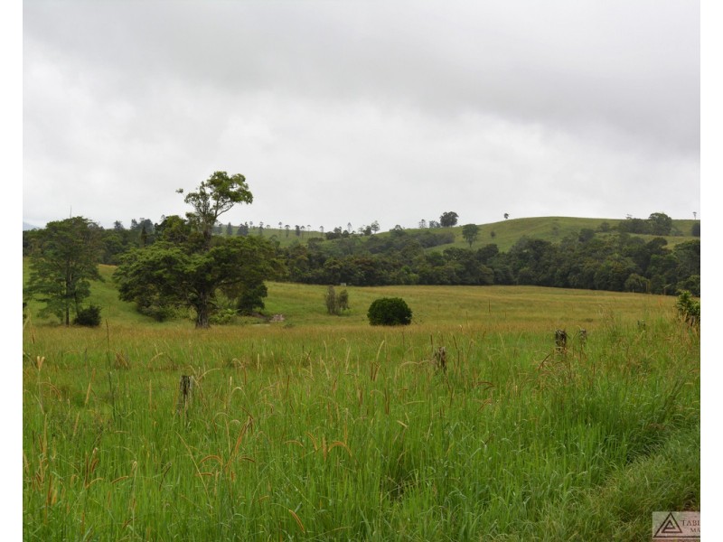 Millaa Millaa QLD 4886