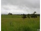Millaa Millaa QLD 4886
