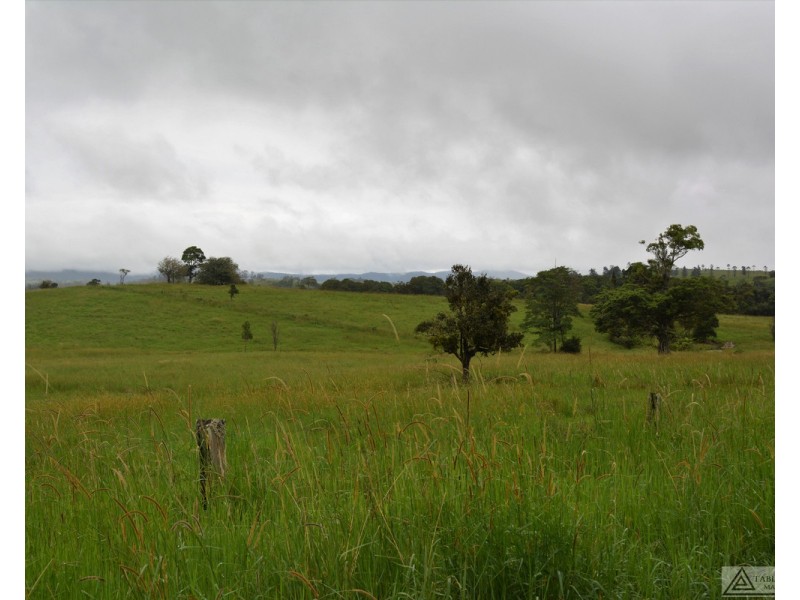 Millaa Millaa QLD 4886