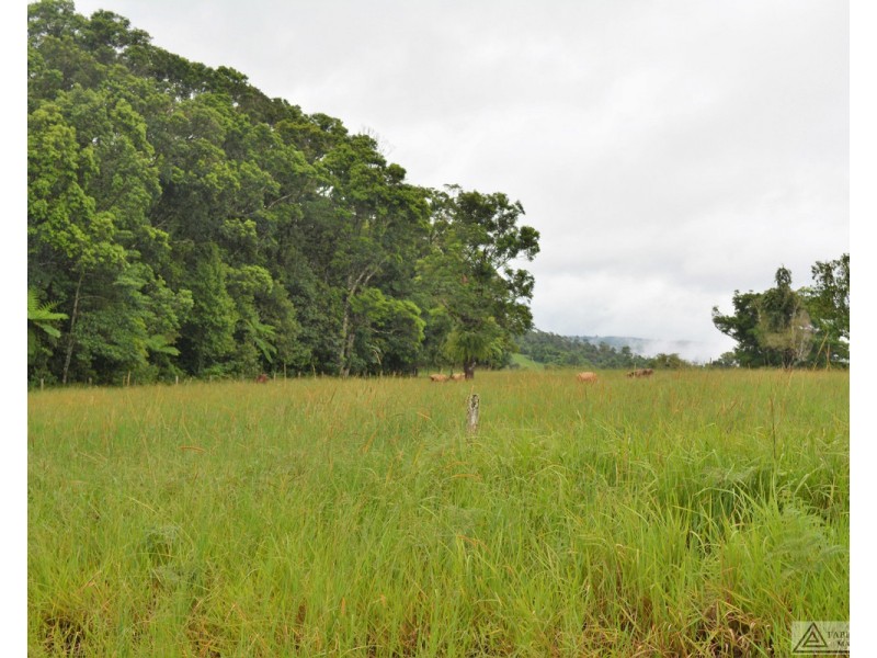 Millaa Millaa QLD 4886