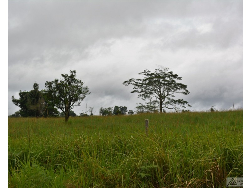 Millaa Millaa QLD 4886