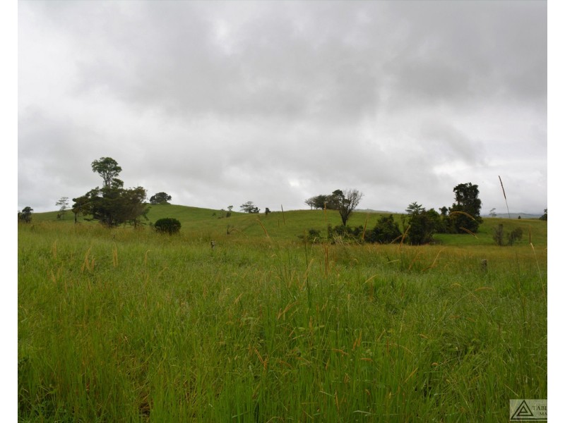 Millaa Millaa QLD 4886