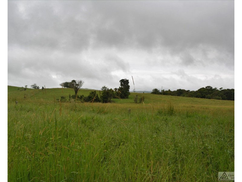 Millaa Millaa QLD 4886