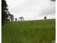 Millaa Millaa QLD 4886