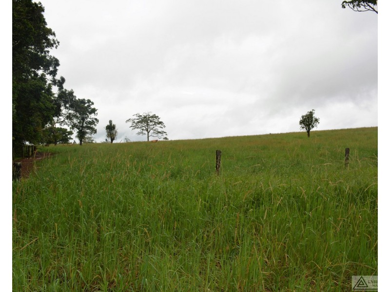 Millaa Millaa QLD 4886