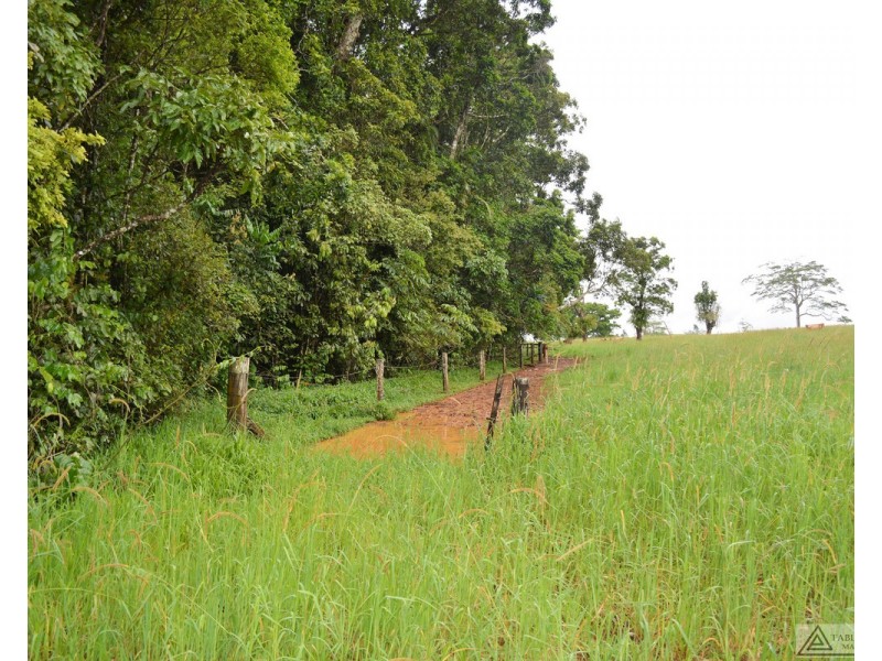 Millaa Millaa QLD 4886