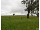 Millaa Millaa QLD 4886