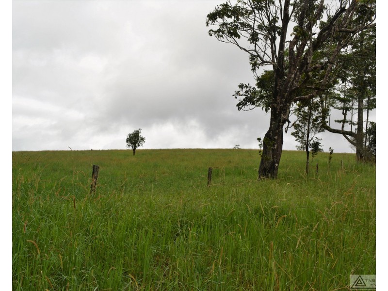Millaa Millaa QLD 4886
