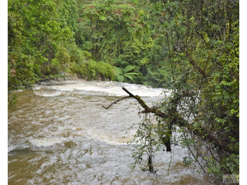 Millaa Millaa QLD 4886