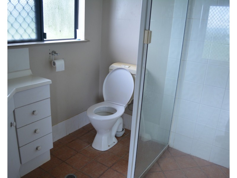 Millaa Millaa QLD 4886