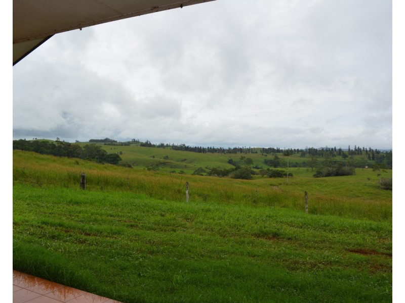 Millaa Millaa QLD 4886