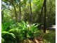 Tarzali QLD 4885