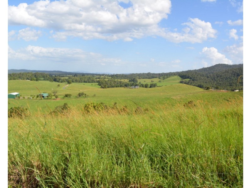 Millaa Millaa QLD 4886