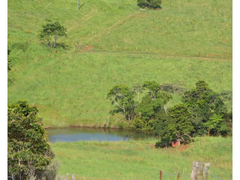 Millaa Millaa QLD 4886