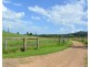 Millaa Millaa QLD 4886