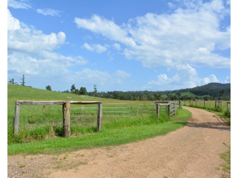 Millaa Millaa QLD 4886