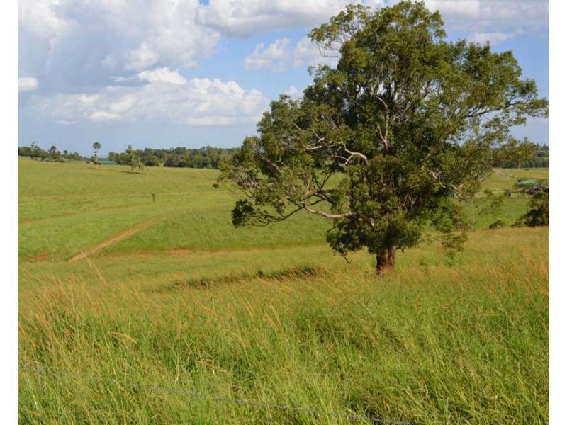 Millaa Millaa QLD 4886