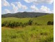 Millaa Millaa QLD 4886