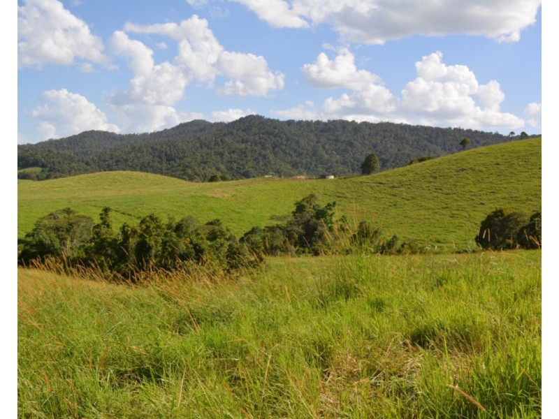 Millaa Millaa QLD 4886
