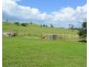 Millaa Millaa QLD 4886