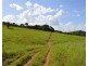 Millaa Millaa QLD 4886