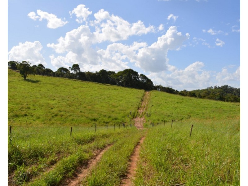 Millaa Millaa QLD 4886